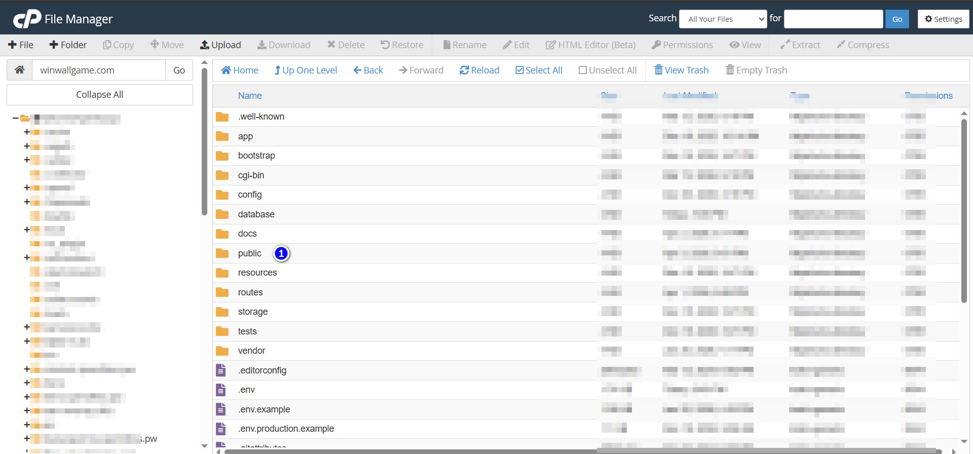 cPanel File Manager - Laravel root directory